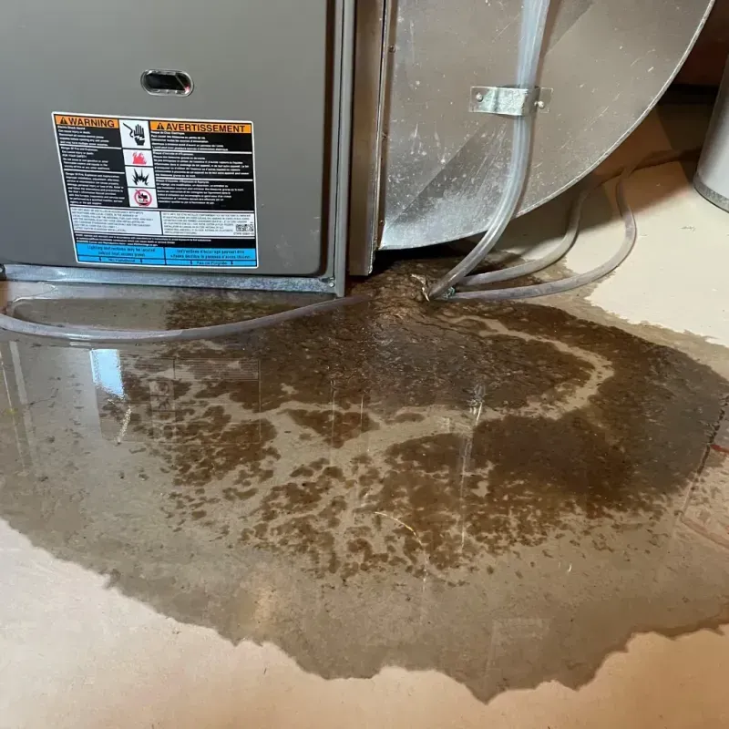 Appliance Leak Cleanup in Chilton County, AL